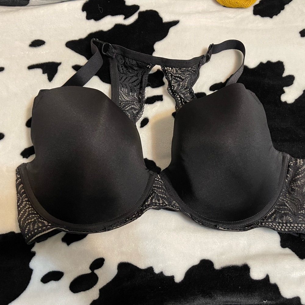 💙🌵Paramour bra🌵💙